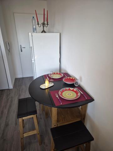 Appartement T1 entièrement meublé, terrasse, 1 parking sécurisé en sous sol.