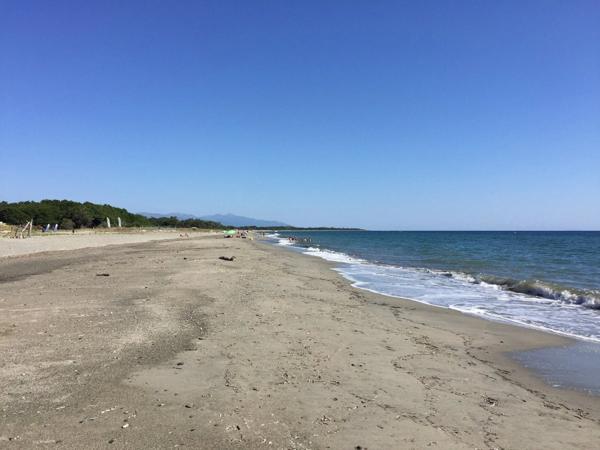 A vendre Maison mitoyenne T2 à rénover, mer, piscine à Castellare di Casinca, HAUTE CORSE (20)