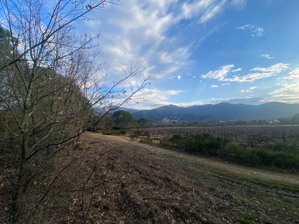 Terrain agricole à vendre à Saint Genis Des Fontaines 5418 m²