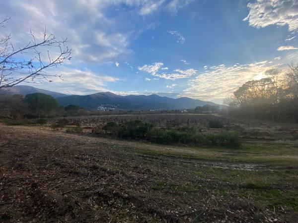 Terrain agricole à vendre à Saint Genis Des Fontaines 5418 m²