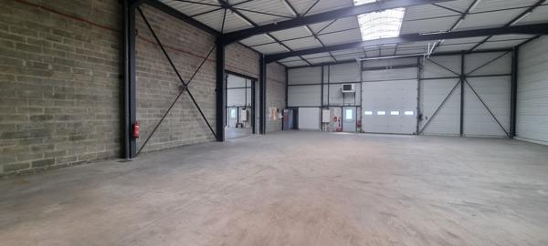 Entrepôt / local industriel Doue En Anjou 1346.50 m2