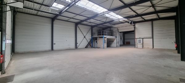 Entrepôt / local industriel Doue En Anjou 1346.50 m2