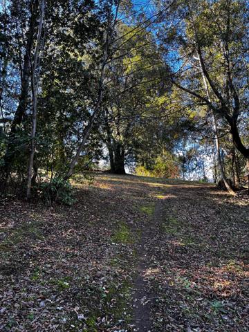 Terrain 1000 m2