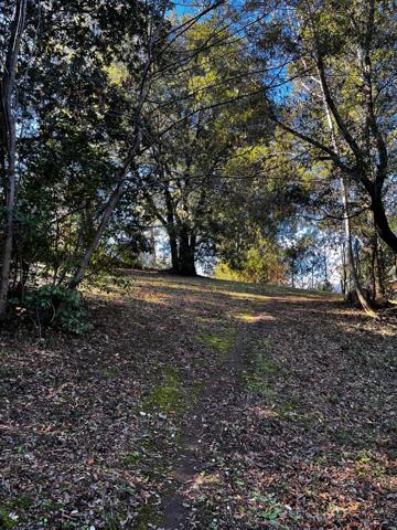 Terrain 1000 m2