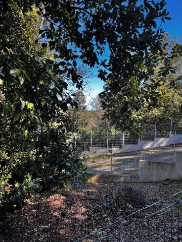 Terrain 1000 m2