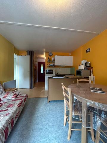 Appartement Laveissiere 2 pièce(s) 30.5 m2 , Laveissiere