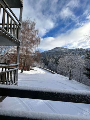 Appartement Laveissiere 2 pièce(s) 30.5 m2 , Laveissiere