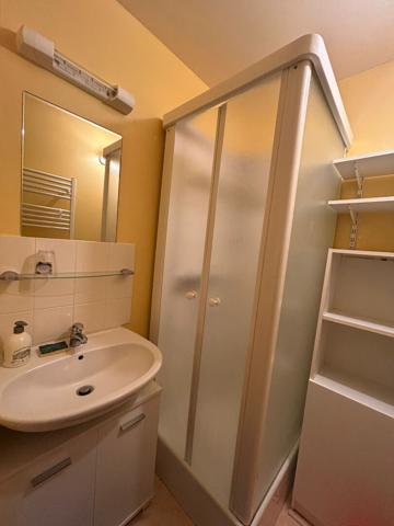 Appartement Laveissiere 2 pièce(s) 30.5 m2 , Laveissiere