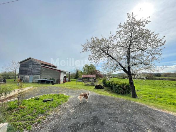 Maison individuelle + hangar sur 1 hectare