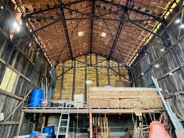 Maison individuelle + hangar sur 1 hectare