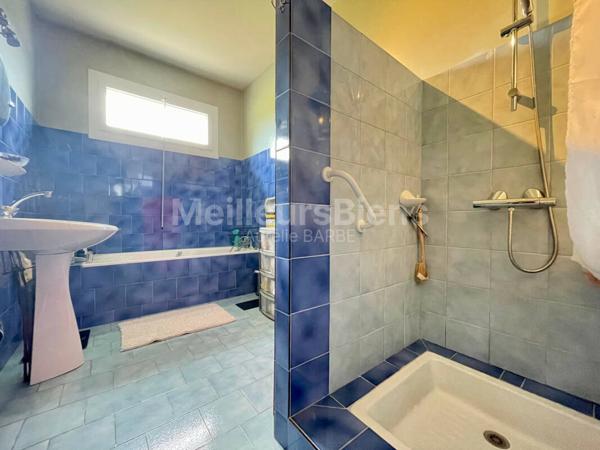 Maison individuelle + hangar sur 1 hectare