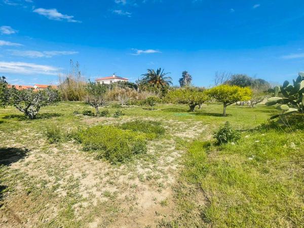 Terrain constructible 803m² à Villelongue-de-la-Salanque