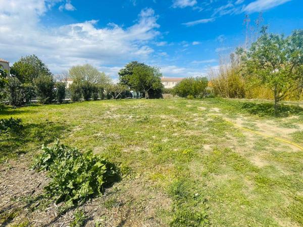 Terrain constructible 803m² à Villelongue-de-la-Salanque