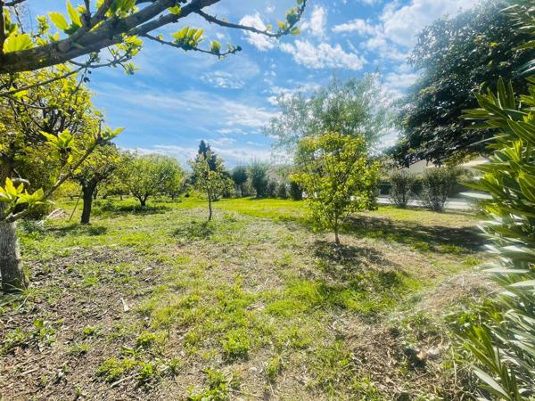 Terrain constructible 803m² à Villelongue-de-la-Salanque