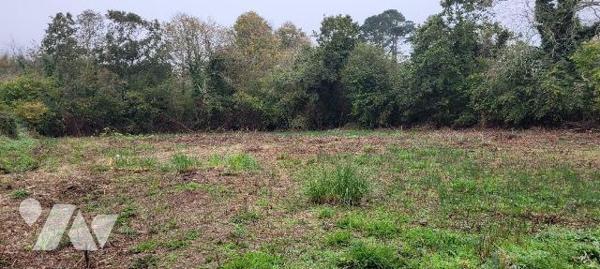 LANVEOC - En secteur calme proche centre bourg - Terrain à bâtir de 2300m² viabilisable (eau, é...