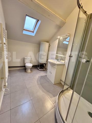 MAISON BRIARDE D'ENVIRON 125 M² + F2 DE 52M² TERRAIN DE 370M² 2 GARAGES PLUS COMBLE AMENAGEABLE