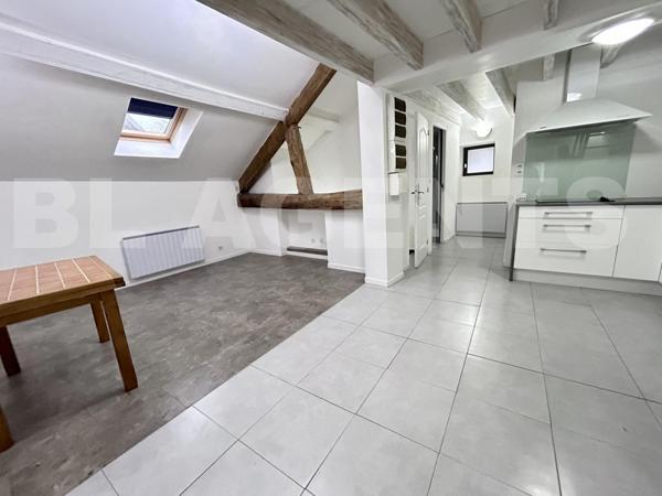 MAISON BRIARDE D'ENVIRON 125 M² + F2 DE 52M² TERRAIN DE 370M² 2 GARAGES PLUS COMBLE AMENAGEABLE