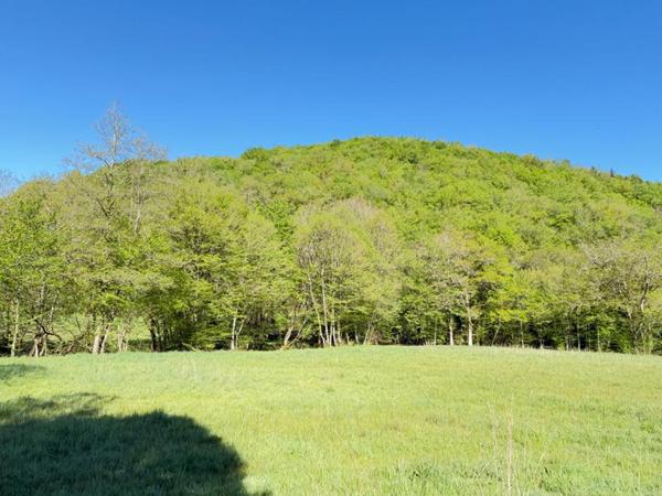 maison en campagne à 15 minutes de Brive