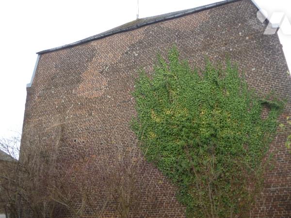 Immeuble de rapport sur trois niveaux, à rénover en grande partie.
Cour, dépendances.