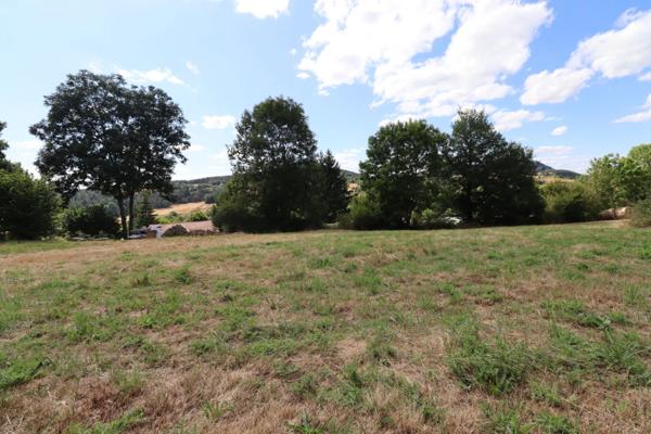 À vendre – Terrain à bâtir de 3 683 M2 viabilisé.