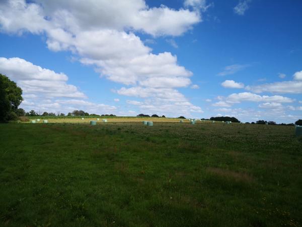 domaine agricole de 70 hectares d’un seul tenant avec bâtiment agricole et hangar