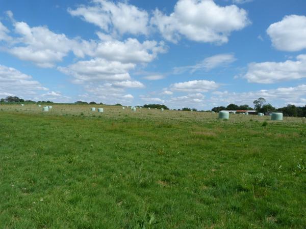 domaine agricole de 70 hectares d’un seul tenant avec bâtiment agricole et hangar