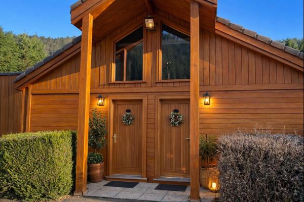 Gérardmer – Ensemble de 2 chalets meublés