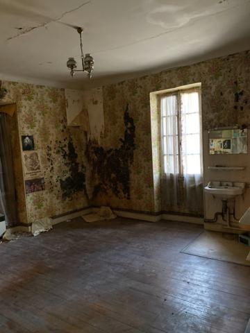 Maison de ville à rénover avec local commercial et jardin