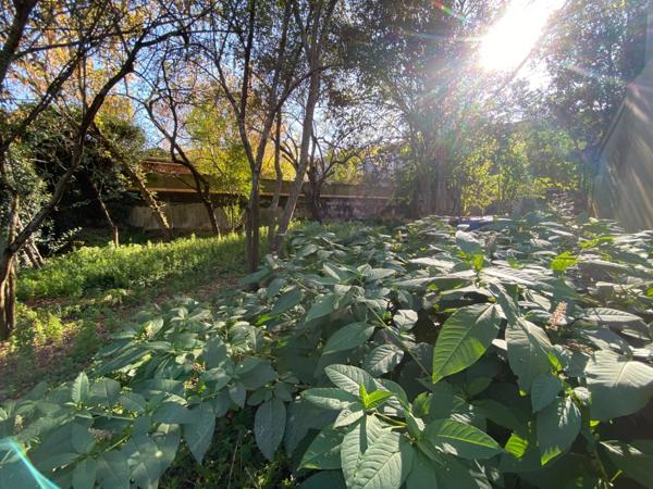 Maison de ville à rénover avec local commercial et jardin