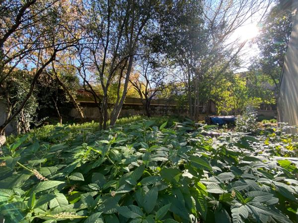 Maison de ville à rénover avec local commercial et jardin