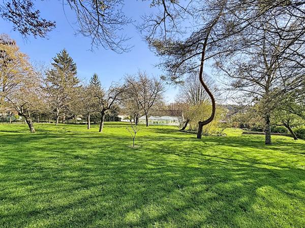 Superbe demeure dans le centre ville de Gouvernes - 212 m2 - 5 chambres (possibilité 7) - piscine chauffée - dépendances - garage double et cave - jardin de 3935 m2