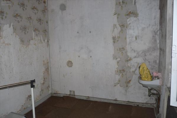 Maison à vendre à Ambrières-les-Vallées en Mayenne (53300), ref : 53075DLS23050