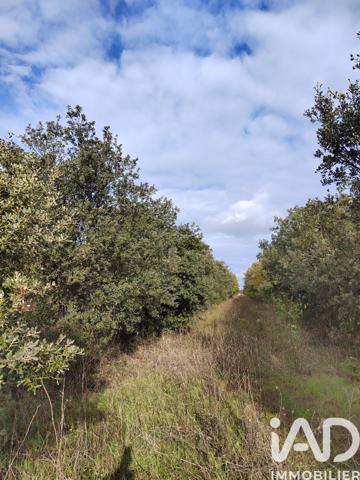 Terrain à vendre 7 825 m² Cairanne