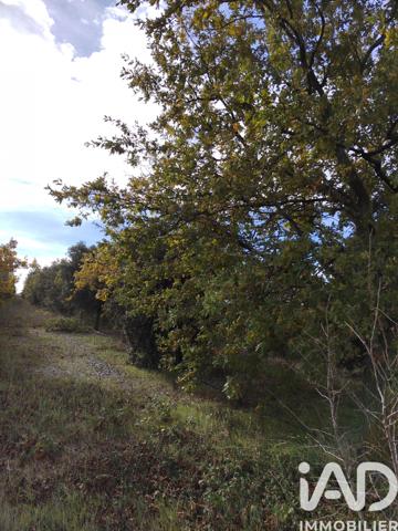 Terrain à vendre 7 825 m² Cairanne