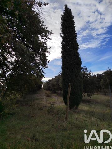 Terrain à vendre 7 825 m² Cairanne