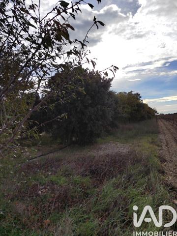 Terrain à vendre 7 825 m² Cairanne