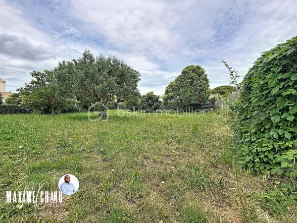 Situé à Mireval dans un quartier calme et proche du centre à proximité immédiate des commodités et des transports, ce terrain de 375 m² est une opportunité idéale pour concrétiser votre projet immobilier dans un cadre pratique et agréable.

Le terrain n'est pas viabilisé. Il n’est pas libre de constructeur, vous bénéficierez ainsi d’un accompagnement professionnel pour la réalisation de votre future maison.

Idéal pour un projet familial ou un investissement, ce terrain allie emplacement stratégique et praticité.