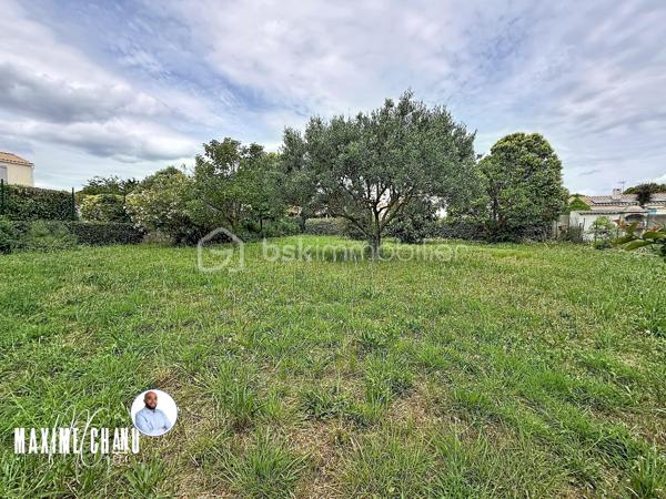 Situé à Mireval dans un quartier calme et proche du centre à proximité immédiate des commodités et des transports, ce terrain de 375 m² est une opportunité idéale pour concrétiser votre projet immobilier dans un cadre pratique et agréable.

Le terrain n'est pas viabilisé. Il n’est pas libre de constructeur, vous bénéficierez ainsi d’un accompagnement professionnel pour la réalisation de votre future maison.

Idéal pour un projet familial ou un investissement, ce terrain allie emplacement stratégique et praticité.