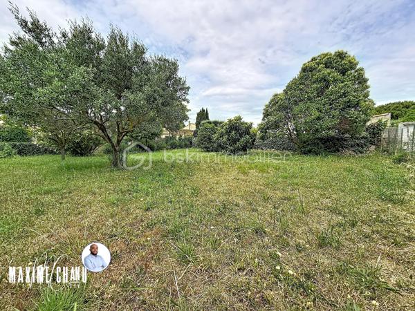 Situé à Mireval dans un quartier calme et proche du centre à proximité immédiate des commodités et des transports, ce terrain de 375 m² est une opportunité idéale pour concrétiser votre projet immobilier dans un cadre pratique et agréable.

Le terrain n'est pas viabilisé. Il n’est pas libre de constructeur, vous bénéficierez ainsi d’un accompagnement professionnel pour la réalisation de votre future maison.

Idéal pour un projet familial ou un investissement, ce terrain allie emplacement stratégique et praticité.