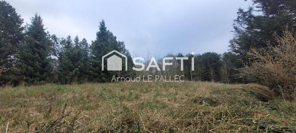 Amoureux de la nature, idéal pour des chevaux, ânes,