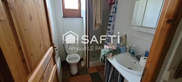 Amoureux de la nature, idéal pour des chevaux, ânes,