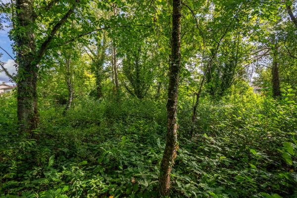 Terrain constructible à vendre quartier résidentiel de Villeneuve-sur-Lot