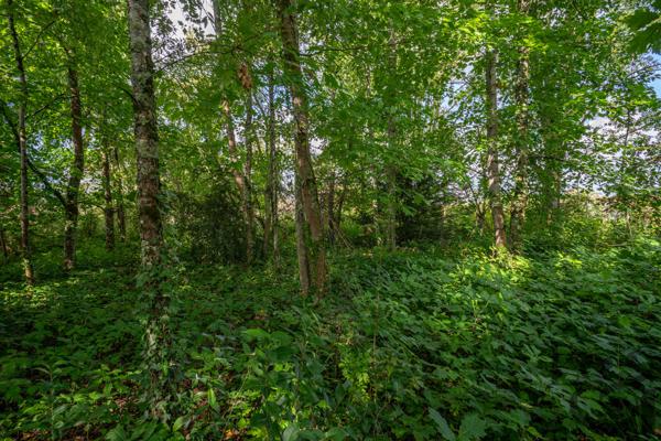 Terrain constructible à vendre quartier résidentiel de Villeneuve-sur-Lot