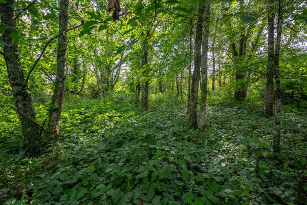 Terrain constructible à vendre quartier résidentiel de Villeneuve-sur-Lot