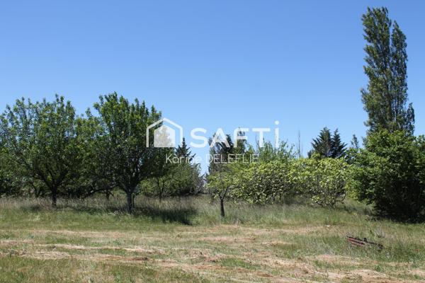 26 hectares de terres agricoles