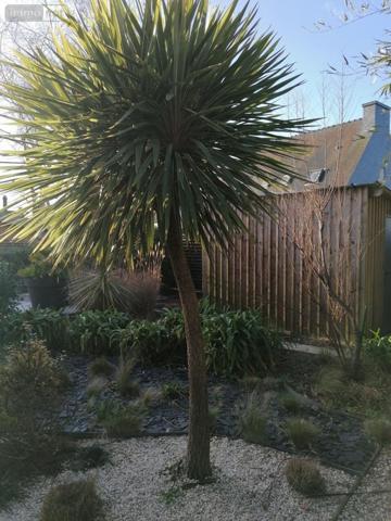 Maison à vendre à Larmor-Plage dans le Morbihan (56260), ref : 56081-2552