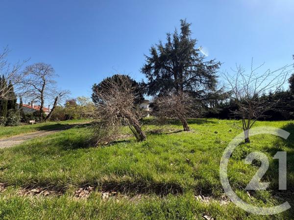 Terrain à vendre  598 m2 MONTECH - 82