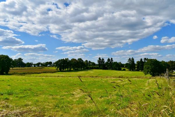 Maison à vendre 5 pièces de 111 m²