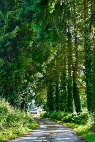 Maison à vendre 5 pièces de 111 m²