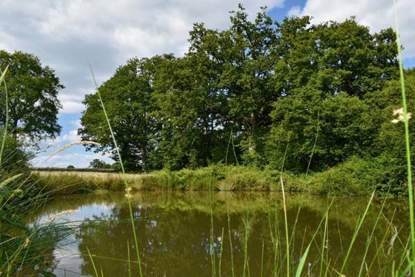 Maison à vendre 5 pièces de 111 m²